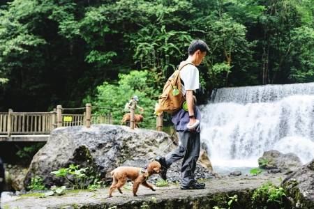 今起西岭雪山后山半山对宠物正式开放
