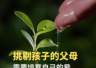 挑剔孩子的父母,需要先学会爱自己
