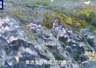 领航丨共绘美丽中国新画卷