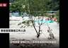 浙江瑞安一露营基地因河水上涨多人爬树逃生，基地回应：员工抢收桌椅时被困，均已获救