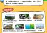 一次出发，打卡两地！海口⇌湛江一程多站精品旅游线路来啦~