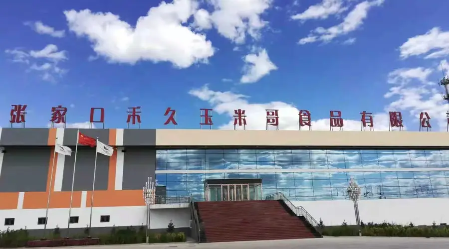 哪些 适合日常食用的益生元食品
