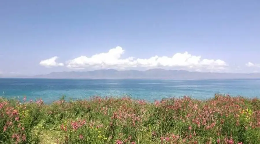 伊犁河谷的四季私语:一位旅人用七天邂逅天山深处的时光