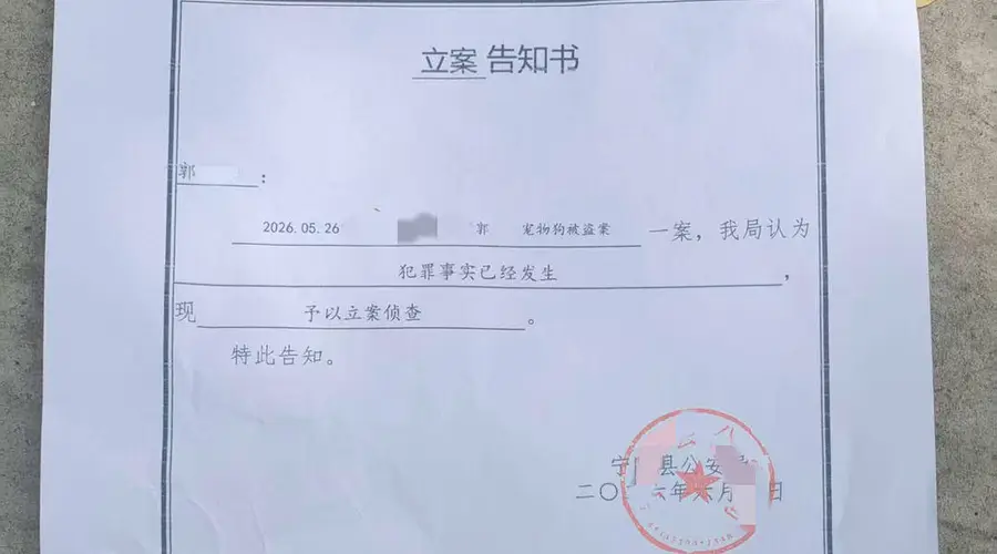 网红边牧“锄头”被盗宰杀案移送审查起诉，主人将提民事诉讼索赔