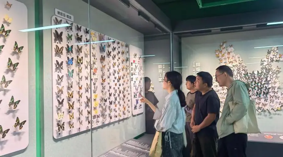 昆明推出“探秘昆虫王国”展 科普生态知识