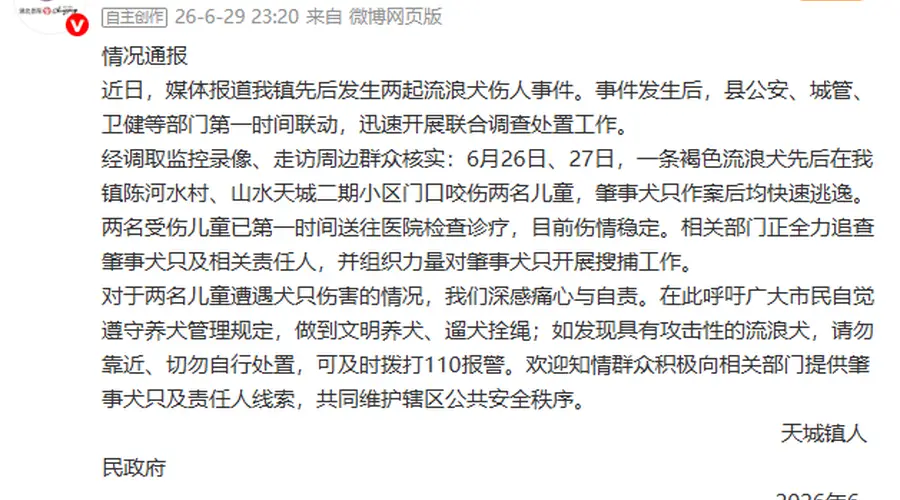 湖北崇阳通报“流浪犬咬伤两名儿童”:全力追查肇事犬只及相关责任人