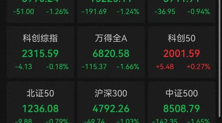 A股收评:近4800只个股飘绿,三大指数集体收跌,科创50收涨
