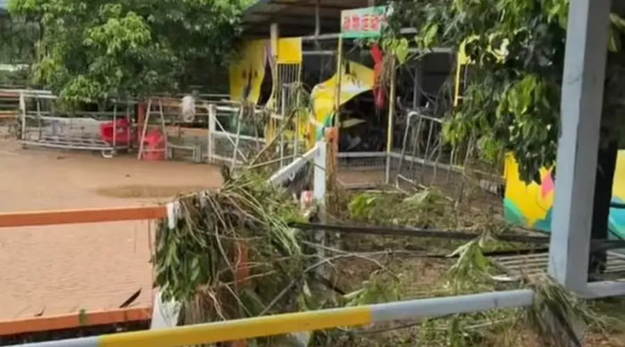 贵港动物园上百只动物被洪水冲走，3只狮子死亡，负责人回应
