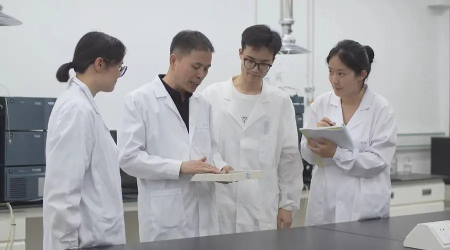 虎林:“绿叶”到“金叶” 刺五加茶擦亮特色产业金名片