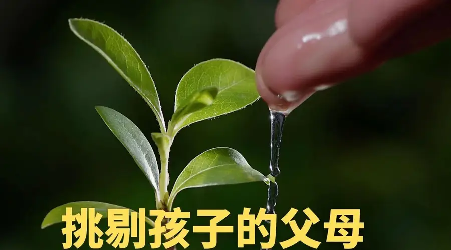 挑剔孩子的父母,需要先学会爱自己