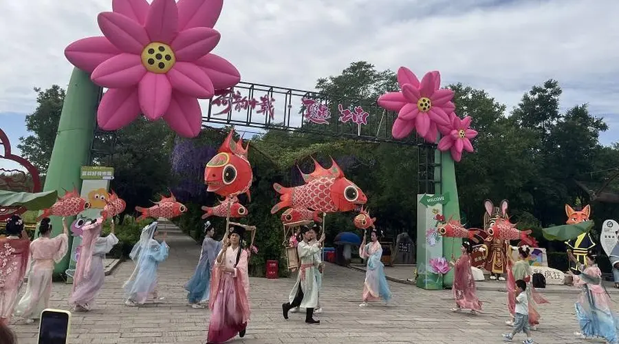 鸣翠湖荷花节解锁国风避暑新玩法 赏荷泛舟逛市集体验塞上江南韵味