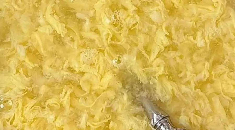 大暑养生新选择：换掉稀饭豆浆，试试这些滋阴早餐清内热