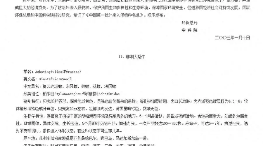 非洲大蜗牛入侵风险北扩 我国北方需警惕
