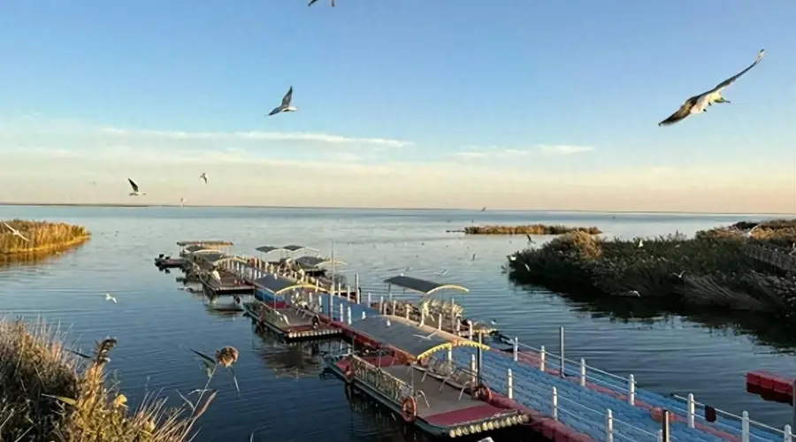 居延海住宿怎么选？从湖畔木屋到边陲酒店，一篇讲透所有选项