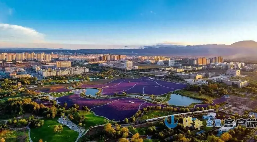 金昌紫金苑景区迎来年度最佳赏花期 各类配套全面启用游客纷至沓来