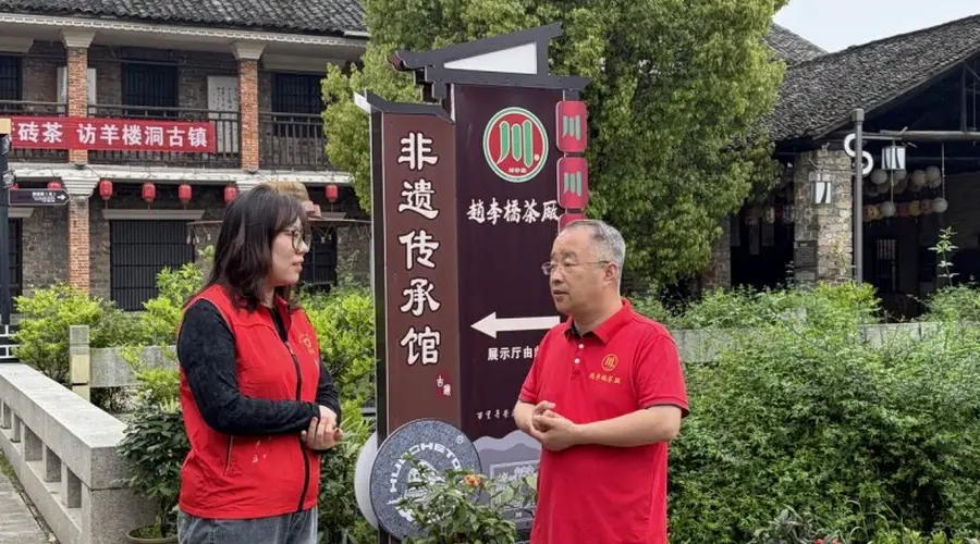 湖北赤壁志愿者学非遗青砖茶技艺 助力茶农夏茶抢收