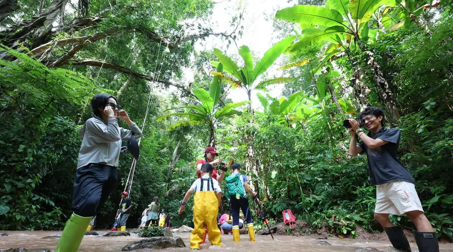 云南景洪巴朵村 雨林徒步游拓宽增收路