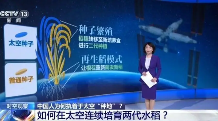 从蔬菜到水稻,中国人为何执着于太空“种地”?