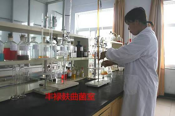 哈尔滨固态酒曲在行业中的应用价值分析