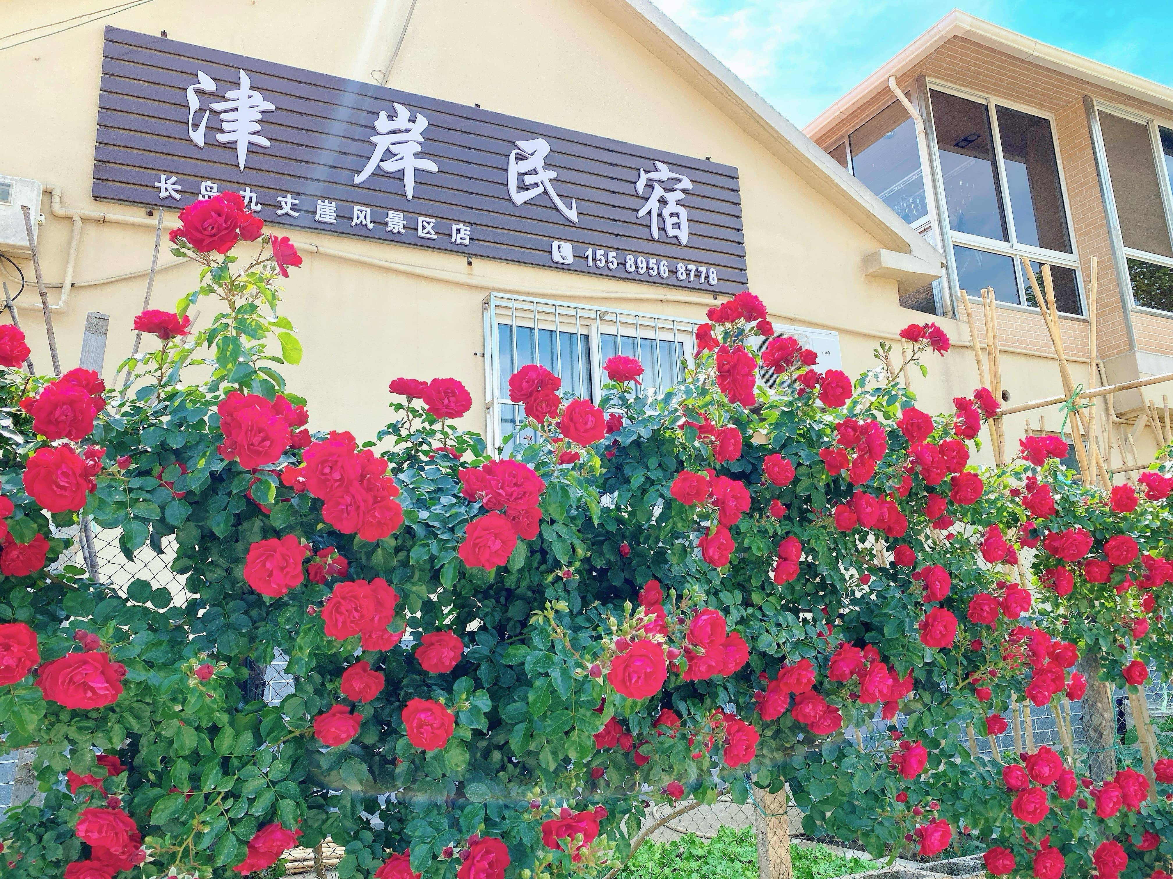 烟台长岛核心景区住宿：步行到九丈崖、月牙湾的民宿实测