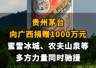 【贵州茅台向广西捐赠1000万元，蜜雪冰城、农夫山泉等多方力量同时驰援】