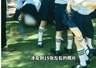 杭州家长发现女儿毕业照15张走光 找摄影机构要求处理反遭辱骂