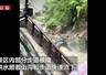 云南虎跳峡景区强降雨致房屋倒塌,山洪沿着步道流下,景区已暂停营业