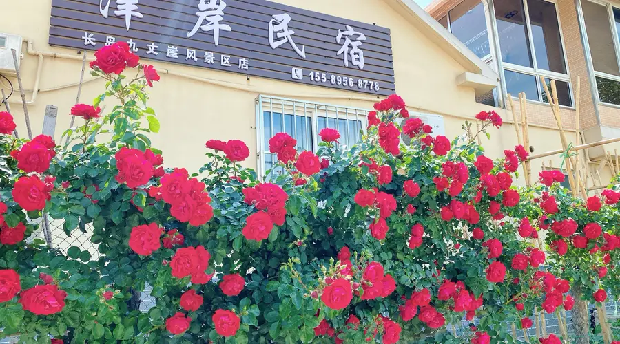 烟台长岛核心景区住宿:步行到九丈崖、月牙湾的民宿实测