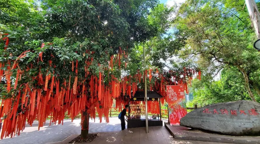 夏季避暑出游必备攻略：科学避暑与实用出行指南
