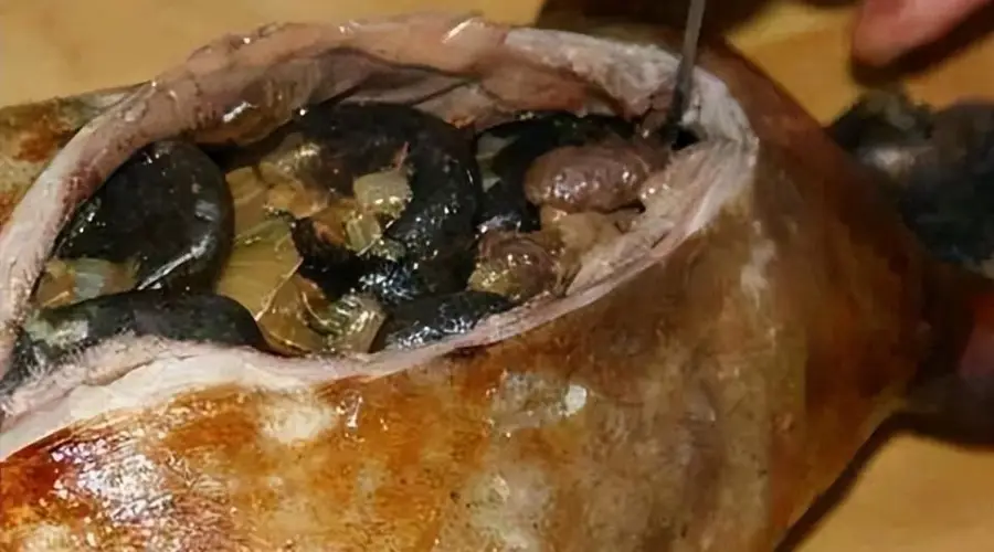 北极传统腌海雀发酵成臭食 只因冬季食物储备需靠它撑着