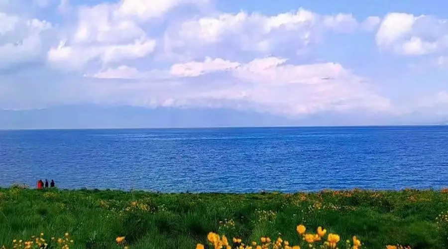 新疆伊犁深度游亮点：赛里木湖碧波 喀拉峻草原花开 果子沟大桥穿云端