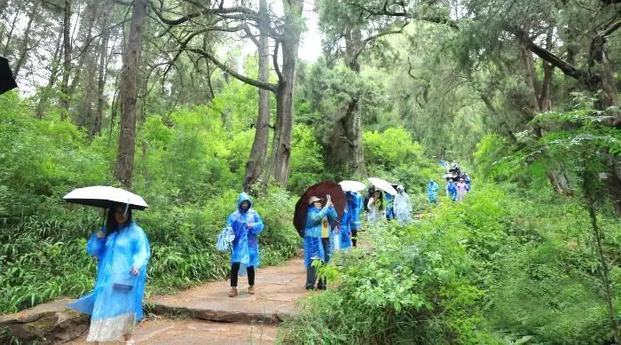 沉浸式感受古蜀道魅力