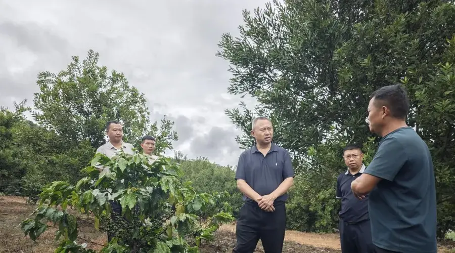 市政协副主席张发云率调研组开展咖啡产业发展情况调研