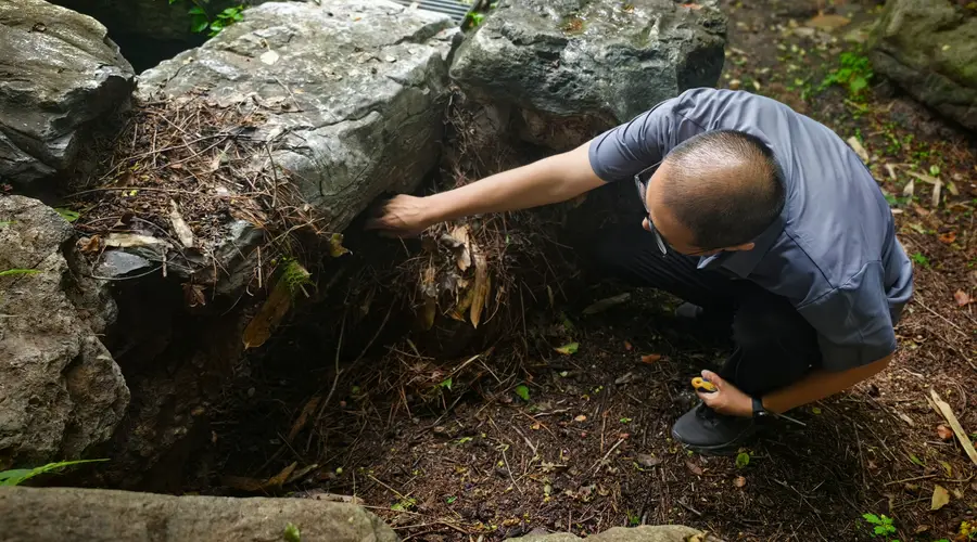 香山公园雨后清理枯枝落叶和积水,保障游客游园安全