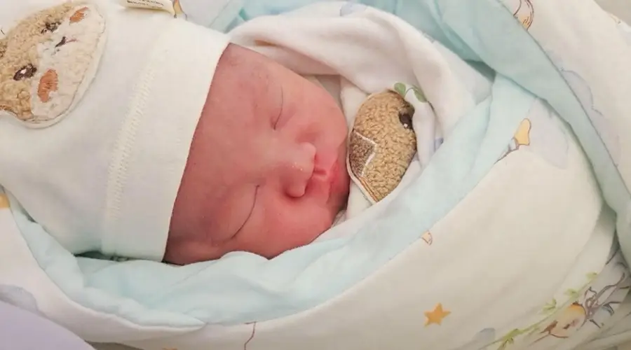 比生育率暴跌更值得警惕:倾尽财力养大的孩子,20年后命运早已定