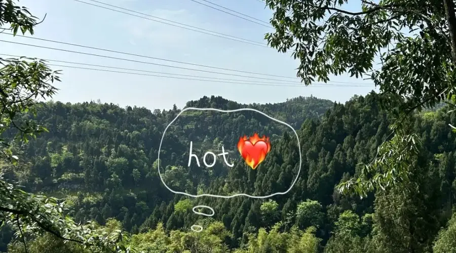天热了?回家喝稀饭,广安人的夏日顶配!