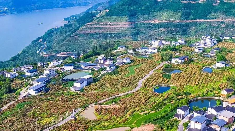 云阳县巴阳村:非遗体验地 田园趣无限