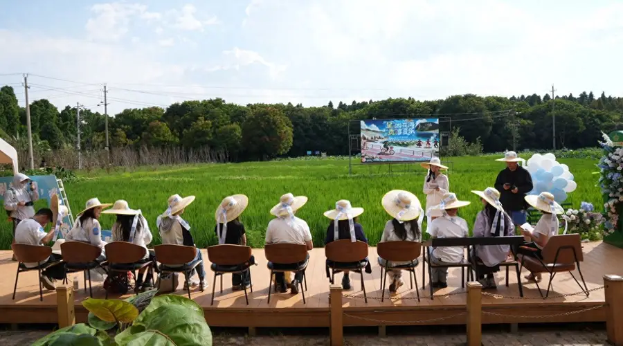 22℃呈贡暑期文旅盛宴：花海葡萄火把潮集音乐会多元体验