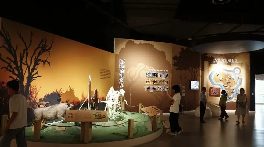 重庆自然博物馆新展《狂野的呼唤》：带孩子探秘非洲野生动物奇境