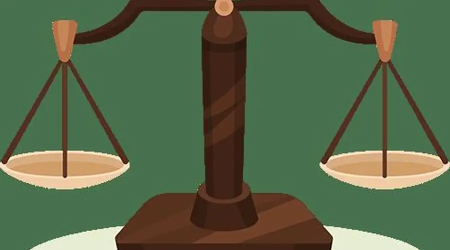 什么样的孩子适配法学专业？王怡之这么说