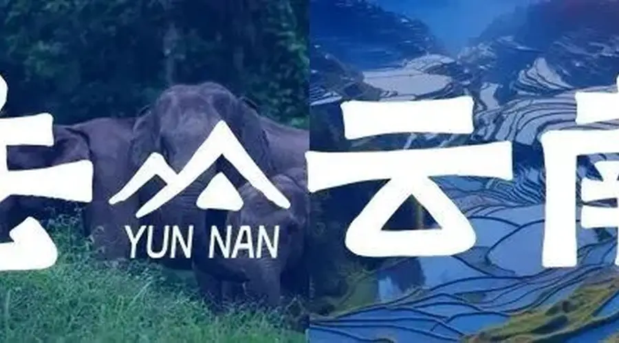 8月赴云南 解锁雨林咖啡与悬崖观览新体验