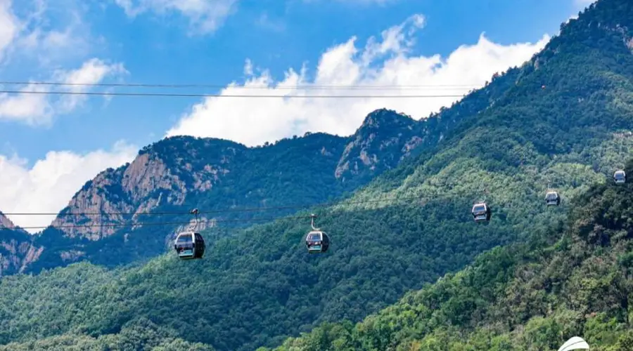 三伏登泰山 赴一场翠林云海清凉之约