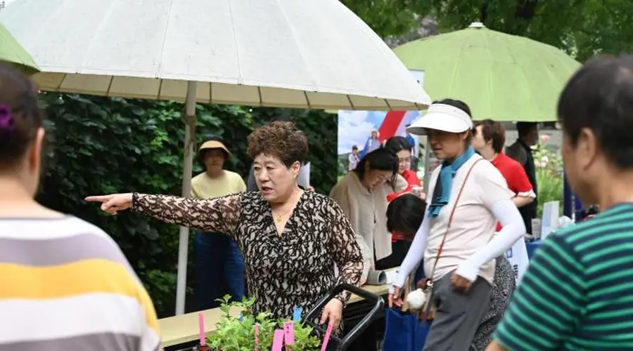 北京仓南胡同荒地变网红花园 14个民族共筑邻里暖心场景