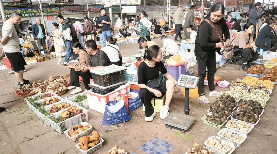 昆明菜市场解锁“蘑”力 市井烟火揽客留客