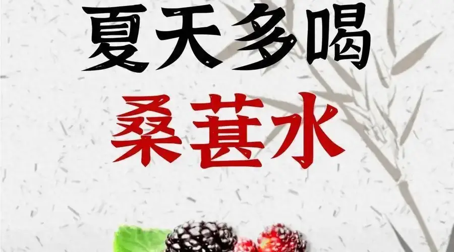 夏天喝桑葚水别单调 8款实用搭配换着来