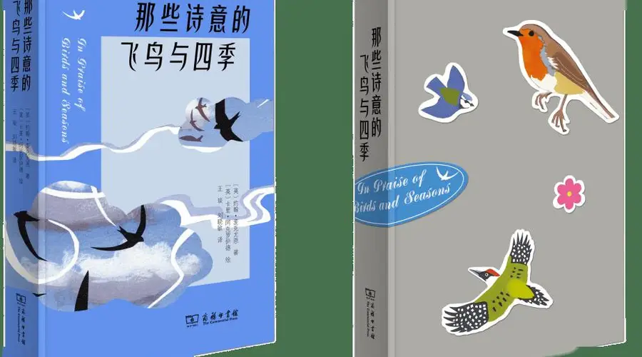 放下手机看鸟的这本书 还有70余幅丝网插画纸上观鸟