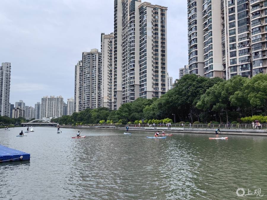 从远观到近玩，苏州河龙舟赛首次开放桨板体验，苏州河蝶变看得见