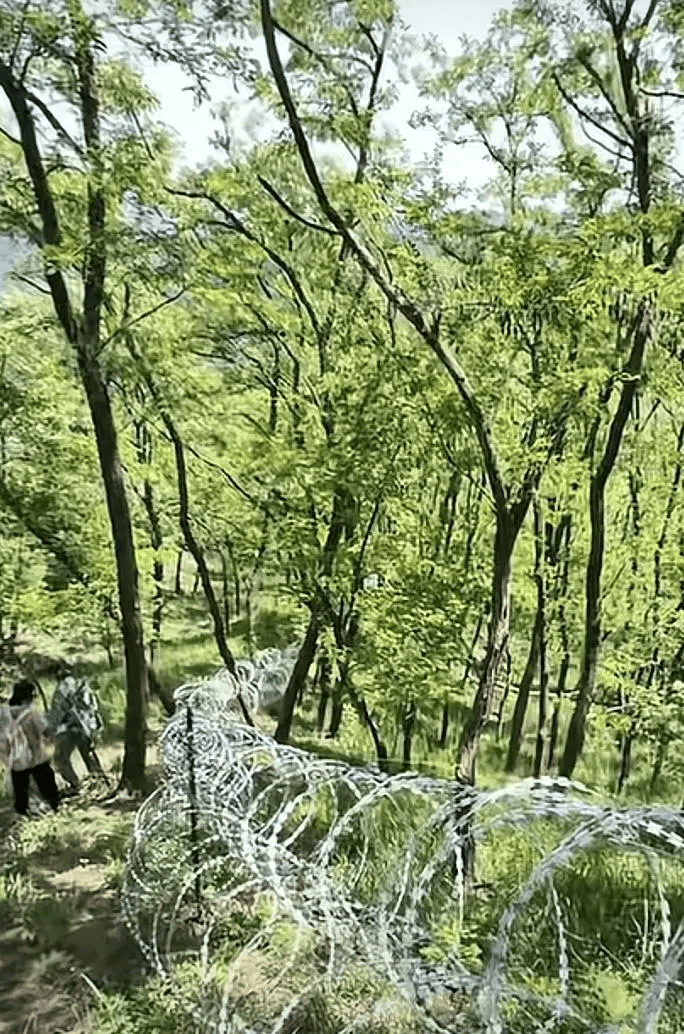 泰山景区致歉：刀片隔离铁丝网与正常的游览路线不交叉、不重叠