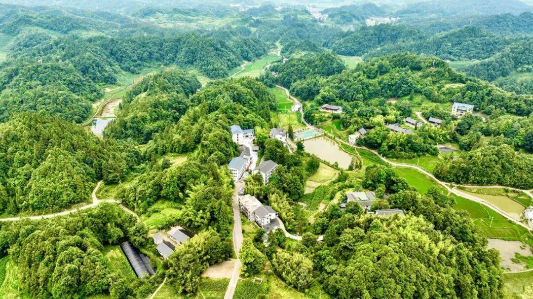 宽阔：清凉夏日引川渝“候鸟”归巢