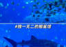 2026甄选清远专业的周边海岛游服务公司选择标准